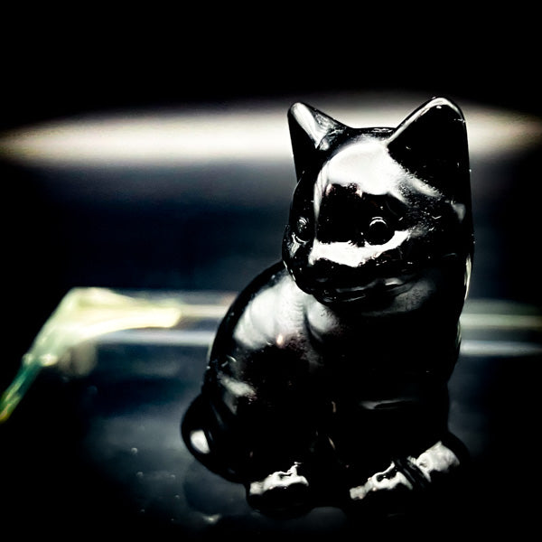 愛する人を独り占め!『恋愛魔術』黒猫の独占愛