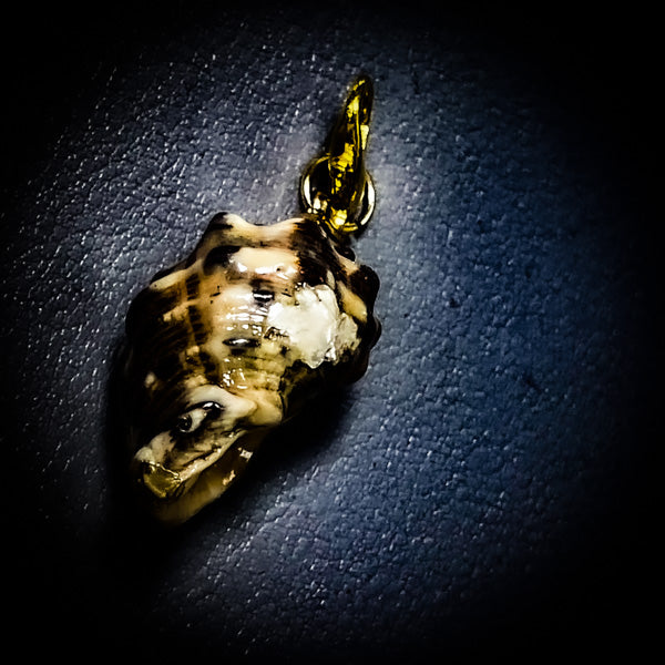 NEW・敵の魂を侵す最強復讐呪い【極秘復讐呪術】悪魔貝のハルーメノス