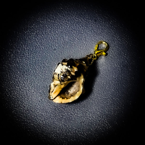 NEW・敵の魂を侵す最強復讐呪い【極秘復讐呪術】悪魔貝のハルーメノス