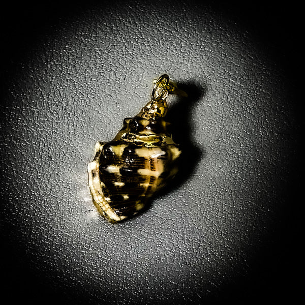 NEW・敵の魂を侵す最強復讐呪い【極秘復讐呪術】悪魔貝のハルーメノス