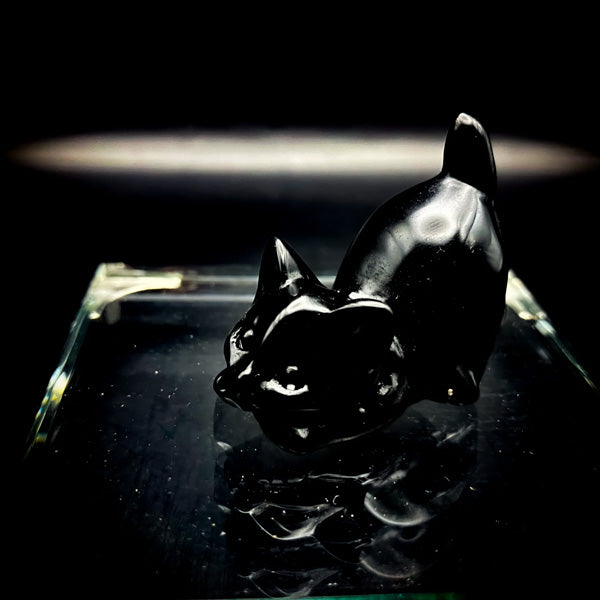 愛する人を独り占め!『恋愛魔術』黒猫の独占愛