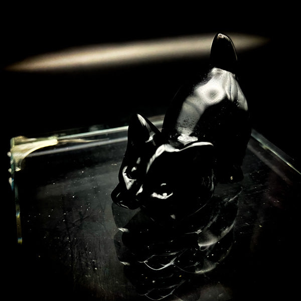 愛する人を独り占め!『恋愛魔術』黒猫の独占愛