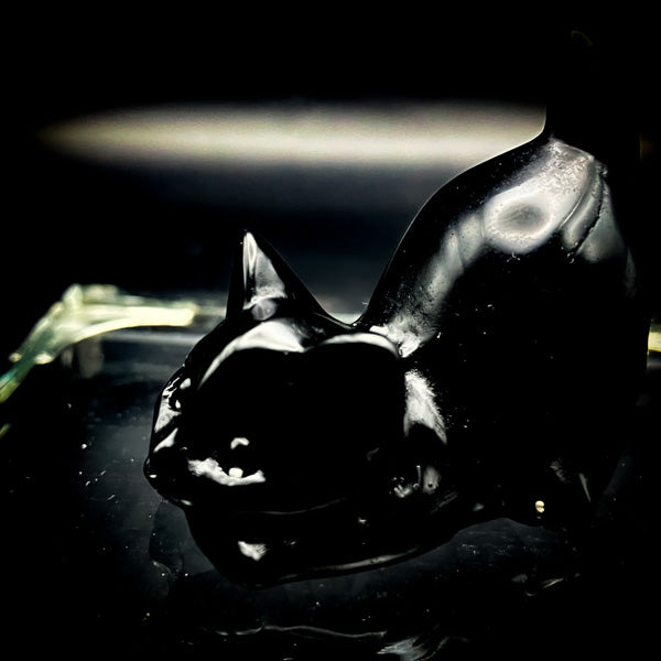 愛する人を独り占め!『恋愛魔術』黒猫の独占愛