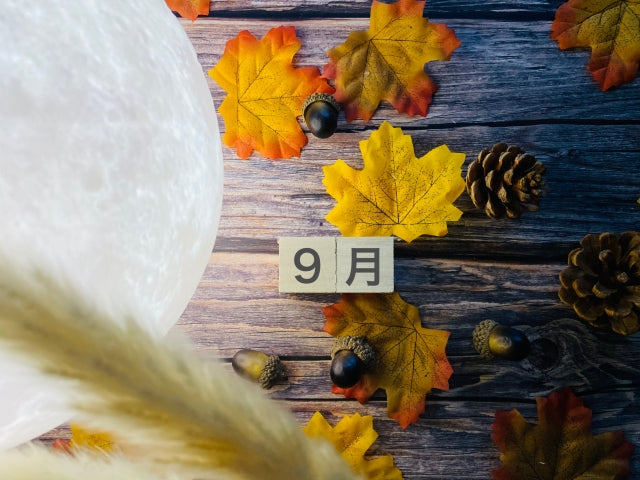 9月のキャンペーン＆イベント「プレゼント」お得情報！