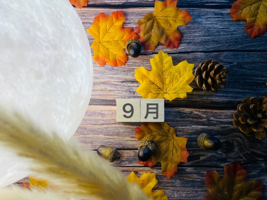 9月のキャンペーン＆イベント「プレゼント」お得情報！