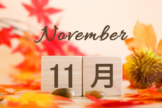 11月のプレゼントとキャンペーンのお知らせ