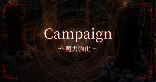 キャンペーンのお知らせ