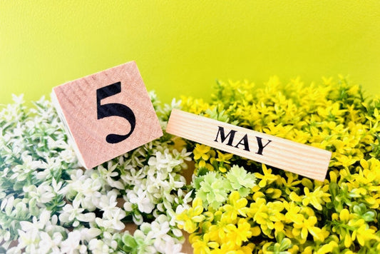 【5月のプレゼント・キャンペーン・イベント】お得情報満載！