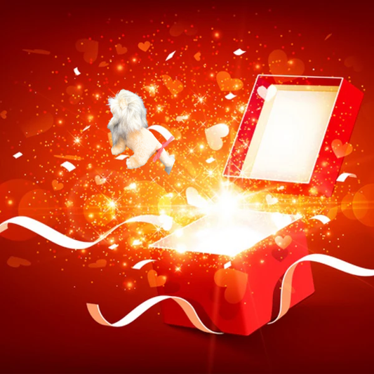 【特別限定・今だけ魔獣付き】お楽しみ福袋セット