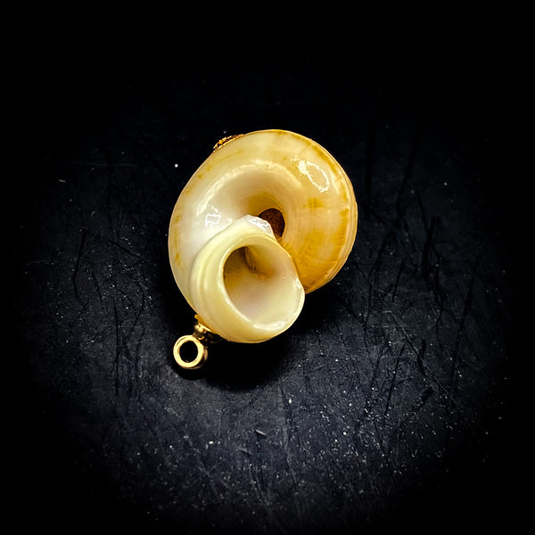 NEW・邪魔排除で勝利を授ける【合体召喚術】幸福のシェル