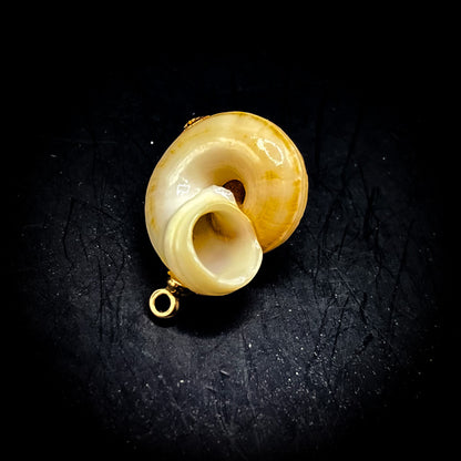 NEW・邪魔排除で勝利を授ける【合体召喚術】幸福のシェル