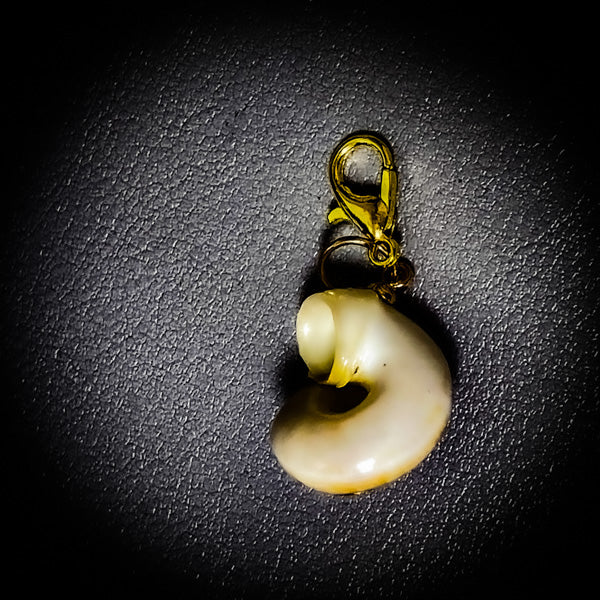 NEW・邪魔排除で勝利を授ける【合体召喚術】幸福のシェル