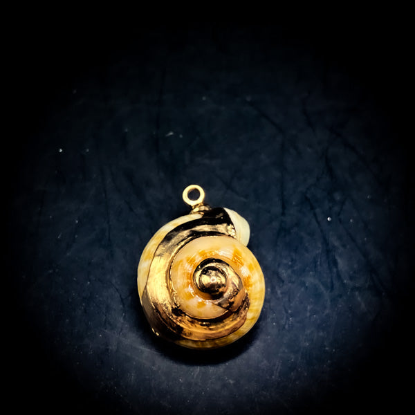 NEW・邪魔排除で勝利を授ける【合体召喚術】幸福のシェル