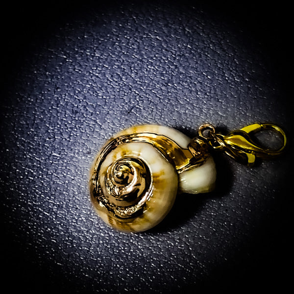 NEW・邪魔排除で勝利を授ける【合体召喚術】幸福のシェル