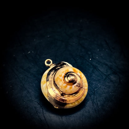 NEW・邪魔排除で勝利を授ける【合体召喚術】幸福のシェル