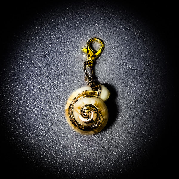 NEW・邪魔排除で勝利を授ける【合体召喚術】幸福のシェル