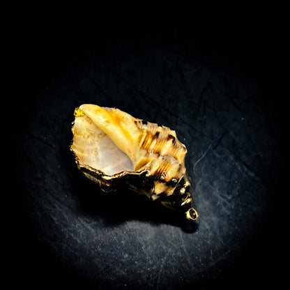 NEW・敵の魂を侵す最強復讐呪い【極秘復讐呪術】悪魔貝のハルーメノス