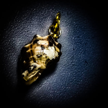 NEW・敵の魂を侵す最強復讐呪い【極秘復讐呪術】悪魔貝のハルーメノス