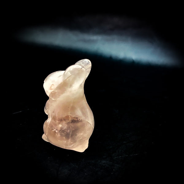 NEW・禁断の愛の成就【極縁魔術】ローズうさぎ