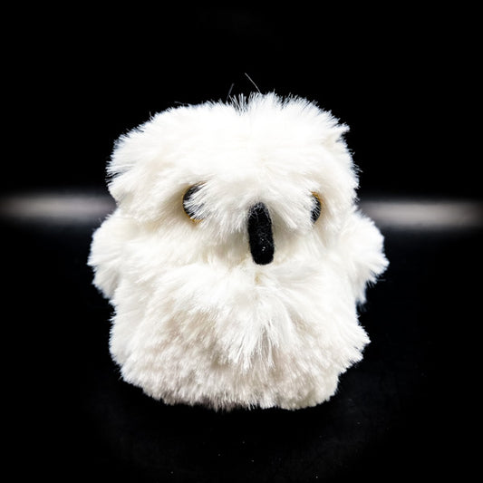 NEW・願望達成×魔力強化【古来伝術・高等黒魔術】魔界の宅急便