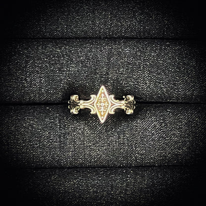 お金に追われる人生から、お金を引き寄せる人生へ　黒魔術アクセサリー【マモン・レガリア】