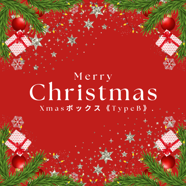 特別限定！Xmasボックス《TypeB》